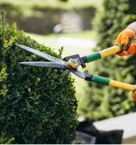 SUPERCLEAN-MAID-SERVICES-solution-gardening